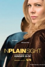 Watch In Plain Sight Xmovies8